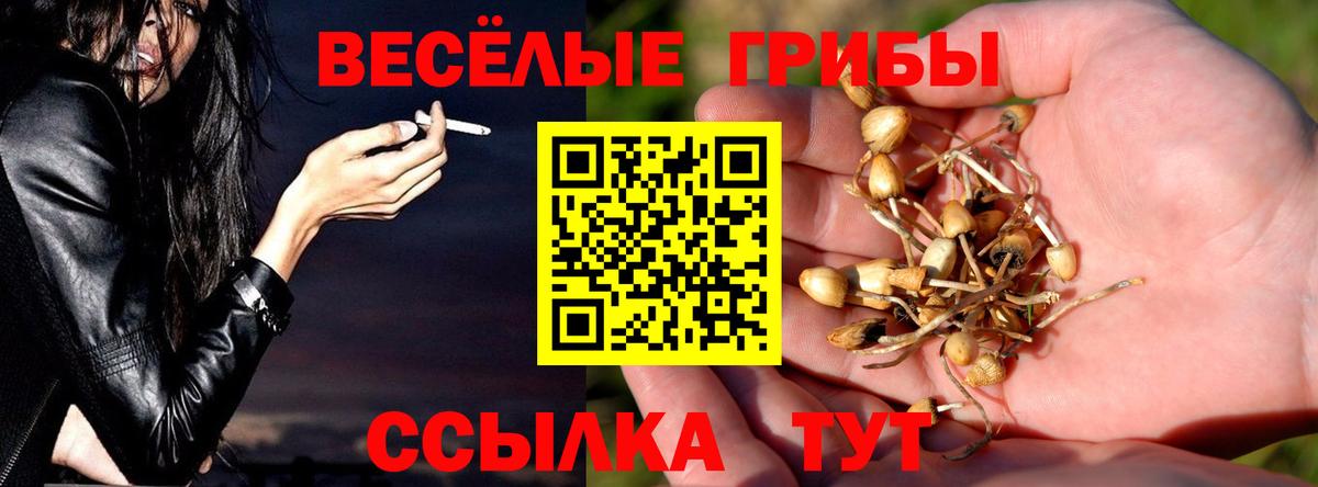 Псилоцибиновые грибы мицелий Солнечногорск